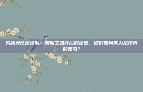 揭秘灵比足球队:崛起之路背后的秘密,他们如何成为足球界的黑马?