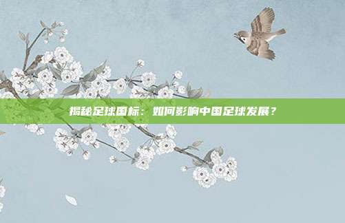揭秘足球国标：如何影响中国足球发展？