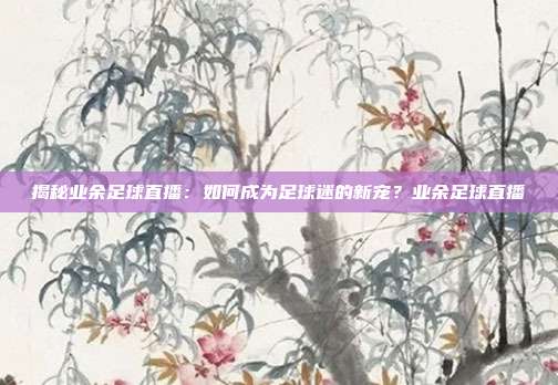 揭秘业余足球直播:如何成为足球迷的新宠?业余足球直播
