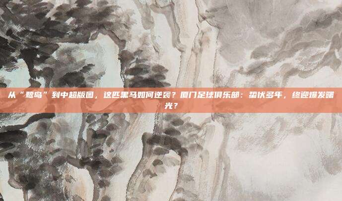 从“鹭岛”到中超版图，这匹黑马如何逆袭？厦门足球俱乐部：蛰伏多年，终迎爆发曙光？