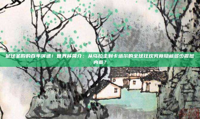足球圣殿的百年演进！世界杯简介：从乌拉圭到卡塔尔的全球狂欢究竟隐藏多少震撼内幕？