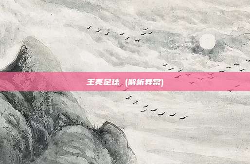 王亮足球 (解析异常)