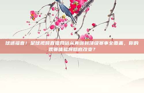 球迷福音！足球视频直播网站从青训到顶级赛事全覆盖，你的观赛体验将彻底改变？