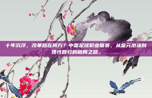 十年沉浮，改革路在何方？中国足球职业联赛，从金元泡沫到理性回归的破局之路。