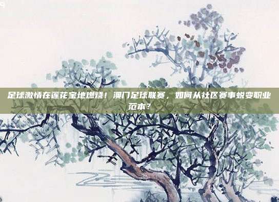 足球激情在莲花宝地燃烧！澳门足球联赛，如何从社区赛事蜕变职业范本？