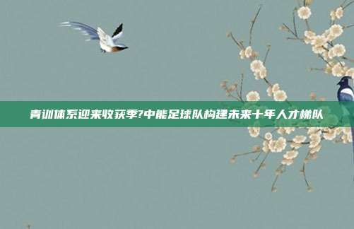 青训体系迎来收获季?中能足球队构建未来十年人才梯队