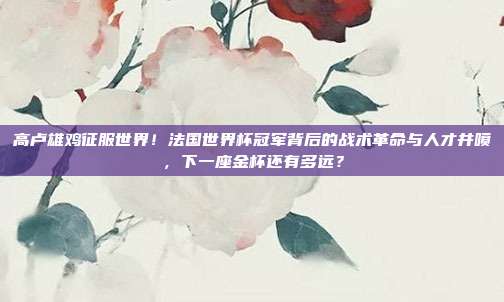 高卢雄鸡征服世界！法国世界杯冠军背后的战术革命与人才井喷，下一座金杯还有多远？