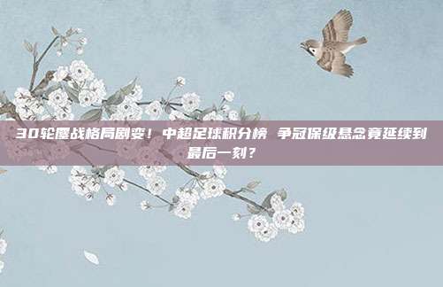 30轮鏖战格局剧变！中超足球积分榜 争冠保级悬念竟延续到最后一刻？