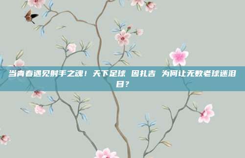 当青春遇见射手之魂！天下足球 因扎吉 为何让无数老球迷泪目？