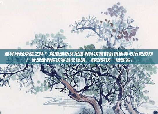 谁将捧起荣耀之杯？深度剖析女足世界杯决赛的战术博弈与历史时刻！女足世界杯决赛悬念揭晓，巅峰对决一触即发！