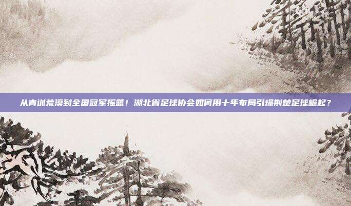 从青训荒漠到全国冠军摇篮！湖北省足球协会如何用十年布局引爆荆楚足球崛起？