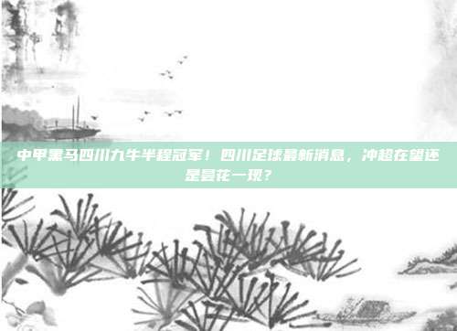 中甲黑马四川九牛半程冠军！四川足球最新消息，冲超在望还是昙花一现？