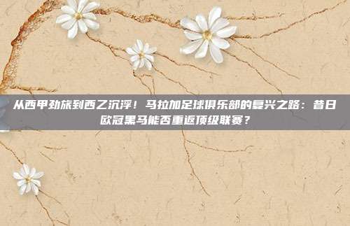 从西甲劲旅到西乙沉浮！马拉加足球俱乐部的复兴之路：昔日欧冠黑马能否重返顶级联赛？