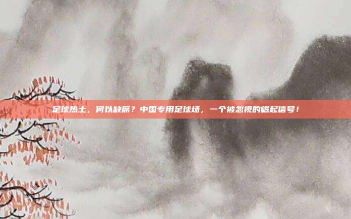足球热土，何以缺席？中国专用足球场，一个被忽视的崛起信号！