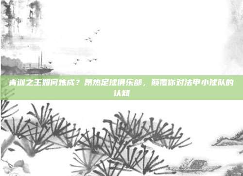 青训之王如何炼成？昂热足球俱乐部，颠覆你对法甲小球队的认知