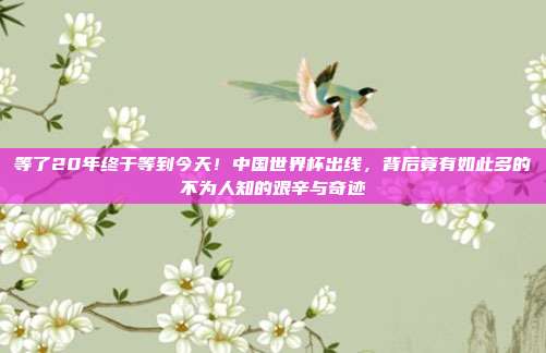 等了20年终于等到今天！中国世界杯出线，背后竟有如此多的不为人知的艰辛与奇迹