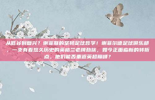 从低谷到复兴？谢菲联的坚韧足球哲学！谢菲尔德足球俱乐部，一支有着悠久历史的英格兰老牌劲旅，如今正面临新的转折点。他们能否重返英超巅峰？