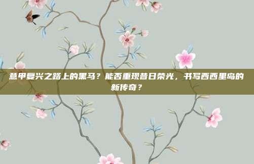 意甲复兴之路上的黑马？能否重现昔日荣光，书写西西里岛的新传奇？