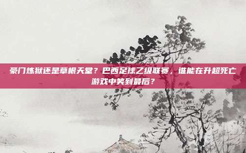 豪门炼狱还是草根天堂？巴西足球乙级联赛，谁能在升超死亡游戏中笑到最后？