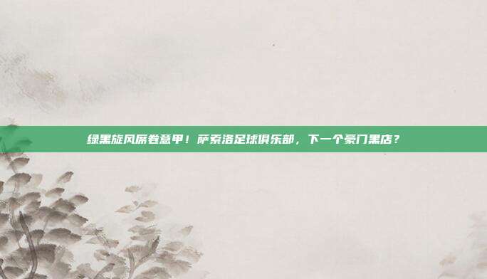 绿黑旋风席卷意甲！萨索洛足球俱乐部，下一个豪门黑店？