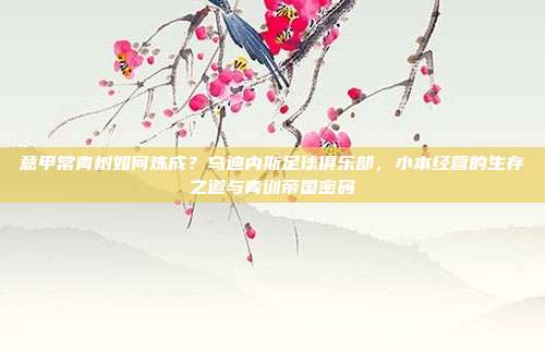 意甲常青树如何炼成？乌迪内斯足球俱乐部，小本经营的生存之道与青训帝国密码