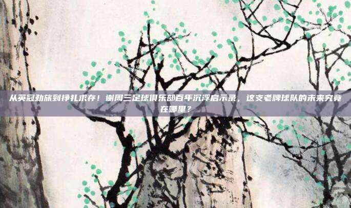 从英冠劲旅到挣扎求存！谢周三足球俱乐部百年沉浮启示录，这支老牌球队的未来究竟在哪里？