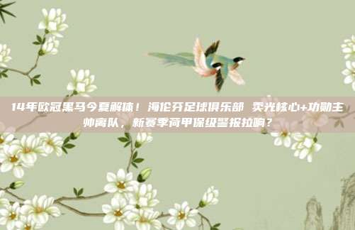 14年欧冠黑马今夏解体！海伦芬足球俱乐部 卖光核心+功勋主帅离队，新赛季荷甲保级警报拉响？