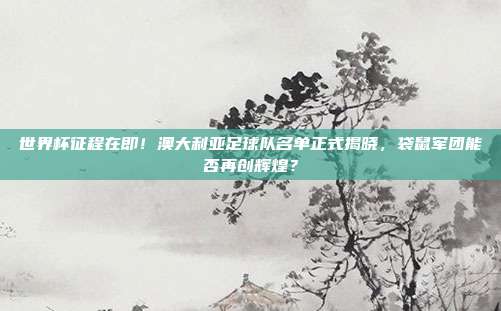 世界杯征程在即！澳大利亚足球队名单正式揭晓，袋鼠军团能否再创辉煌？