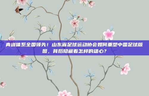 青训体系全国领先！山东省足球运动协会如何重塑中国足球版图，背后隐藏着怎样的雄心？
