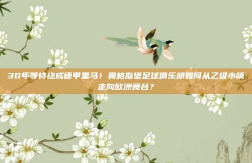 30年等待终成德甲黑马！奥格斯堡足球俱乐部如何从乙级小镇走向欧洲舞台？