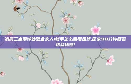 凌晨三点闹钟吵醒全家人!新手怎么看懂足球,原来90分钟藏着这些秘密!