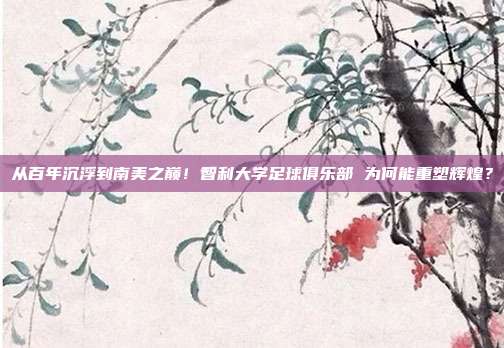 从百年沉浮到南美之巅！智利大学足球俱乐部 为何能重塑辉煌？