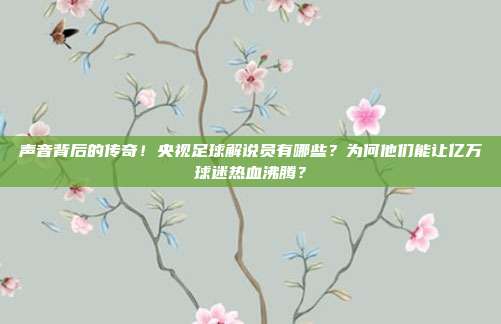 声音背后的传奇！央视足球解说员有哪些？为何他们能让亿万球迷热血沸腾？