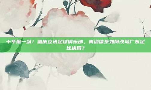 十年磨一剑！肇庆立讯足球俱乐部，青训体系如何改写广东足球格局？