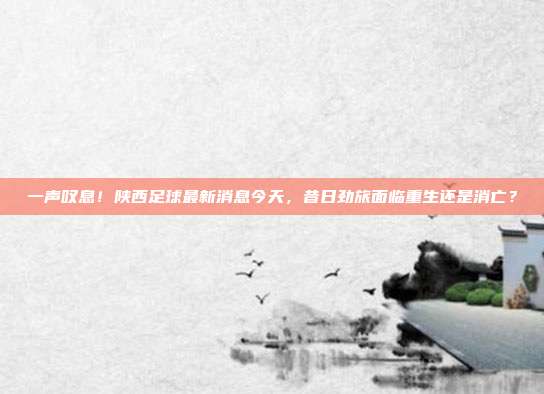 一声叹息！陕西足球最新消息今天，昔日劲旅面临重生还是消亡？