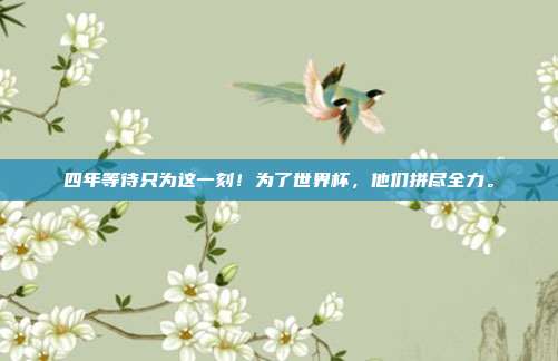 四年等待只为这一刻！为了世界杯，他们拼尽全力。