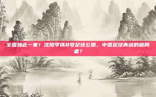 全国独此一家！沈阳李铁8号足球公园，中国足球青训的破局者？