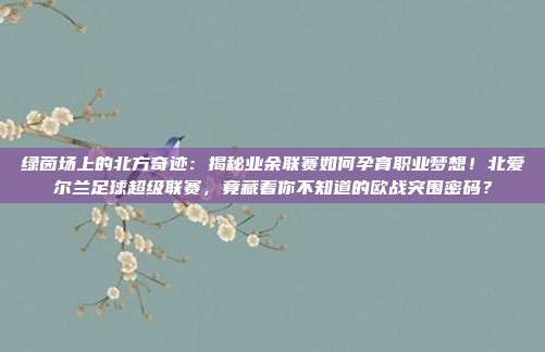 绿茵场上的北方奇迹：揭秘业余联赛如何孕育职业梦想！北爱尔兰足球超级联赛，竟藏着你不知道的欧战突围密码？