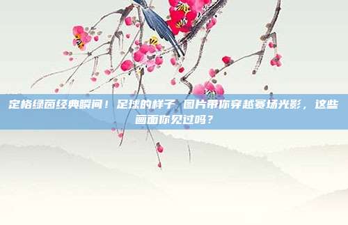 定格绿茵经典瞬间！足球的样子 图片带你穿越赛场光影，这些画面你见过吗？
