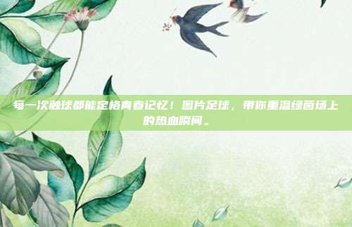 每一次触球都能定格青春记忆！图片足球，带你重温绿茵场上的热血瞬间。