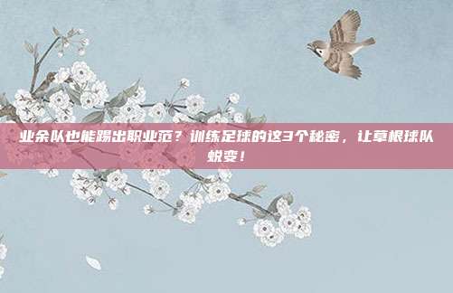 业余队也能踢出职业范？训练足球的这3个秘密，让草根球队蜕变！