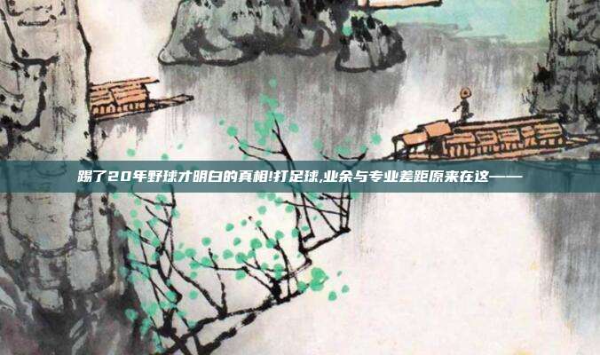 踢了20年野球才明白的真相!打足球,业余与专业差距原来在这——