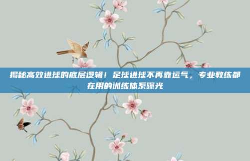 揭秘高效进球的底层逻辑！足球进球不再靠运气，专业教练都在用的训练体系曝光