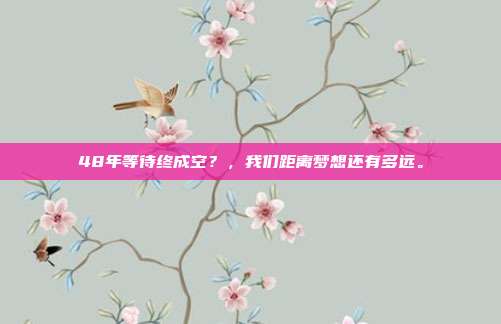 48年等待终成空？，我们距离梦想还有多远。