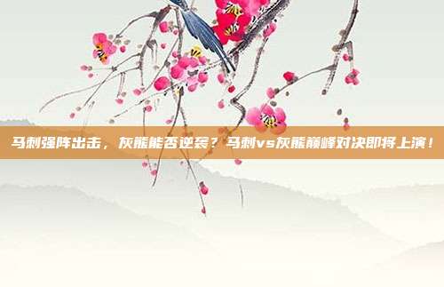 马刺强阵出击，灰熊能否逆袭？马刺vs灰熊巅峰对决即将上演！
