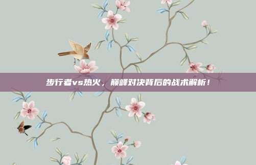 步行者vs热火，巅峰对决背后的战术解析！