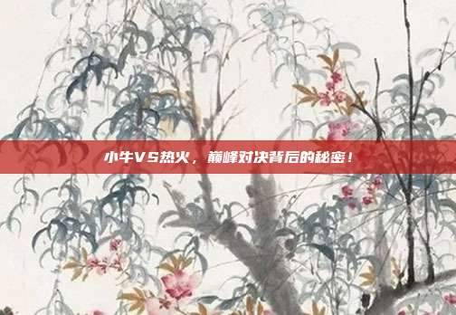 小牛VS热火，巅峰对决背后的秘密！