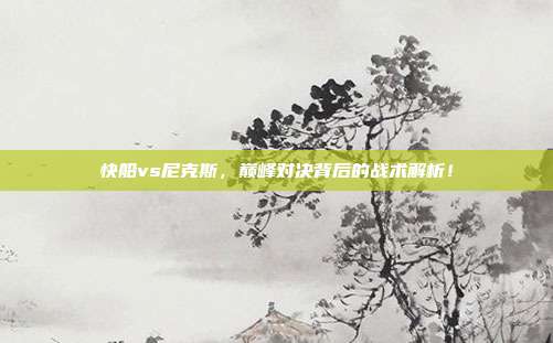 快船vs尼克斯，巅峰对决背后的战术解析！
