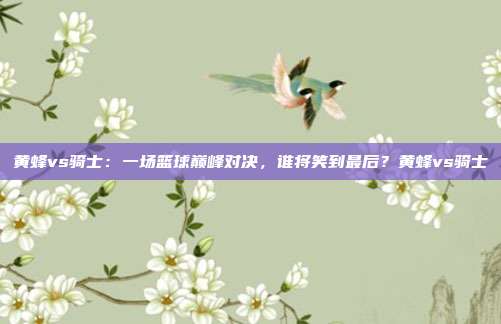 黄蜂vs骑士：一场篮球巅峰对决，谁将笑到最后？黄蜂vs骑士