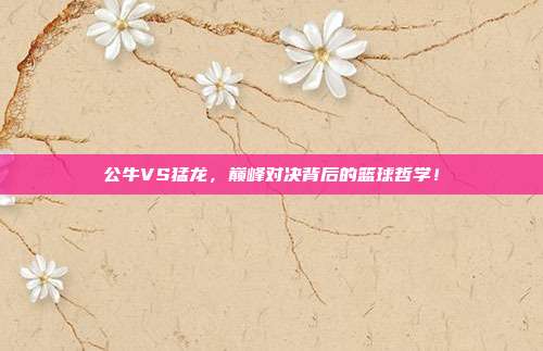 公牛VS猛龙，巅峰对决背后的篮球哲学！